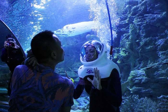 水族館百科：《水族館百科》 水族館百科：《水族館百科》 水族館百科（水族館加盟） 第4張