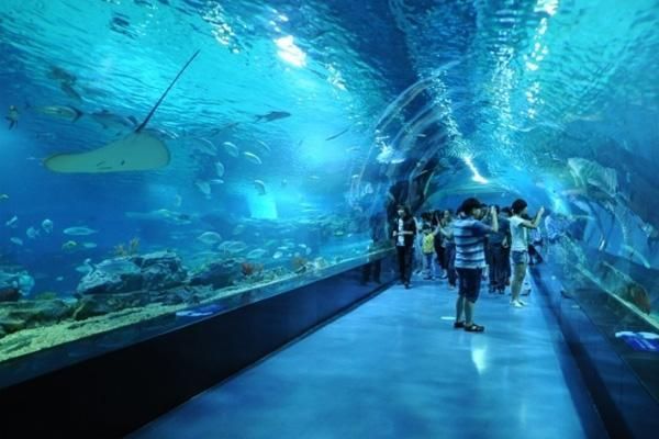 水族館百科：《水族館百科》 水族館百科：《水族館百科》 水族館百科（水族館加盟） 第5張