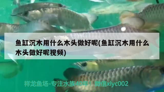 魚缸沉木用什么木頭做好呢(魚缸沉木用什么木頭做好呢視頻) 魚缸沉木用什么木頭做好呢(魚缸沉木用什么木頭做好呢視頻) 九鼎魚缸