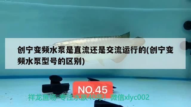 創寧變頻水泵是直流還是交流運行的(創寧變頻水泵型號的區別)
