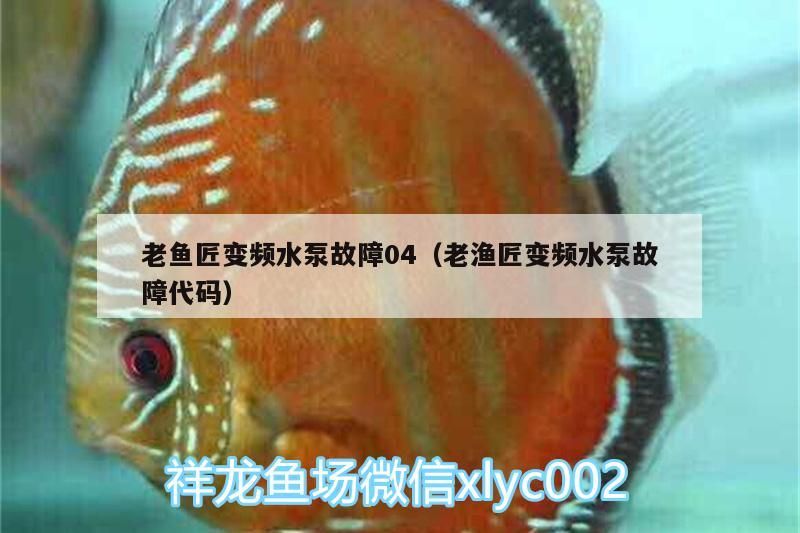 老魚匠變頻水泵故障04（老漁匠變頻水泵故障代碼）