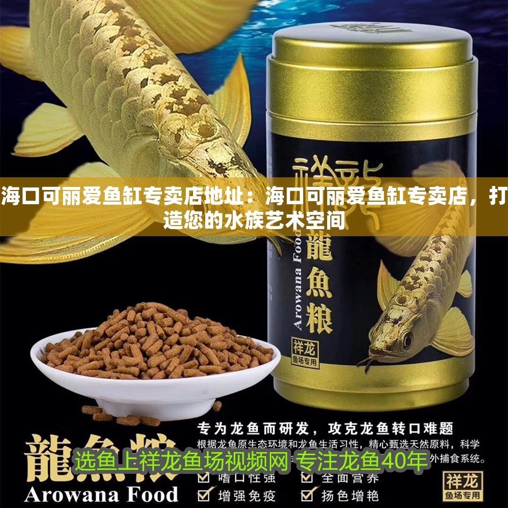 海口可麗愛(ài)魚(yú)缸專(zhuān)賣(mài)店地址：海口可麗愛(ài)魚(yú)缸專(zhuān)賣(mài)店，打造您的水族藝術(shù)空間