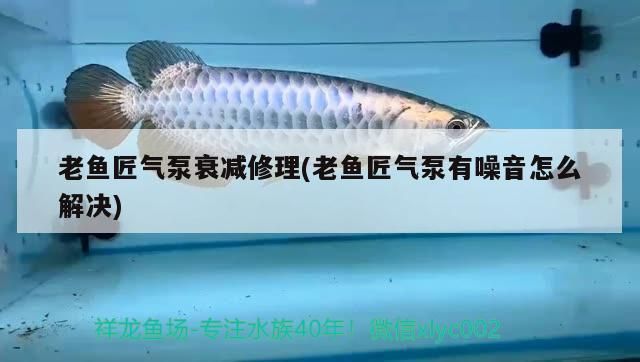 老魚匠氣泵衰減修理(老魚匠氣泵有噪音怎么解決)