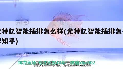 光特億智能插排怎么樣(光特億智能插排怎么樣知乎) 光特億智能插排怎么樣(光特億智能插排怎么樣知乎) 光特億
