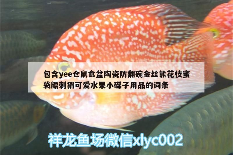 包含yee倉鼠食盆陶瓷防翻碗金絲熊花枝蜜袋鼯刺猬可愛水果小碟子用品的詞條 包含yee倉鼠食盆陶瓷防翻碗金絲熊花枝蜜袋鼯刺猬可愛水果小碟子用品的詞條 yee