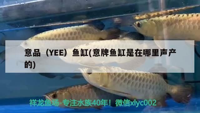 意品（YEE）魚(yú)缸(意牌魚(yú)缸是在哪里聲產(chǎn)的) 意品（YEE）魚(yú)缸(意牌魚(yú)缸是在哪里聲產(chǎn)的) yee