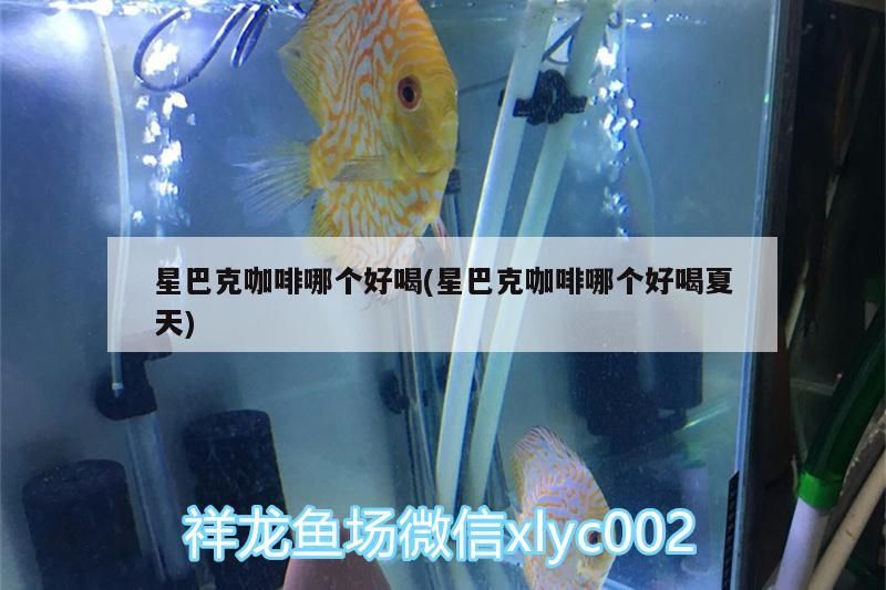 星巴克咖啡哪個好喝(星巴克咖啡哪個好喝夏天)