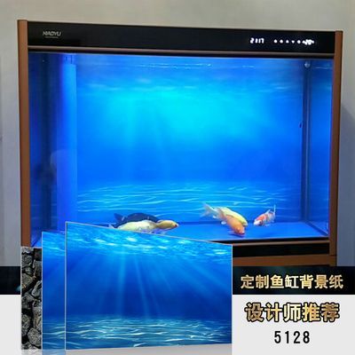 60x60x40魚缸：60x60x40厘米的魚缸適合養什么魚