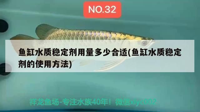 詳細(xì)閱讀:北京龍魚品牌怎么樣?購(gòu)買渠道如何選擇合適的品牌和價(jià)格?,北京龍魚品牌怎么樣多少錢一個(gè)北京龍魚品牌怎么樣 北京龍魚品牌怎么樣?購(gòu)買渠道如何選擇合適的品牌和價(jià)格?,北京龍魚品牌怎么樣多少錢一個(gè)北京龍魚品牌怎么樣
