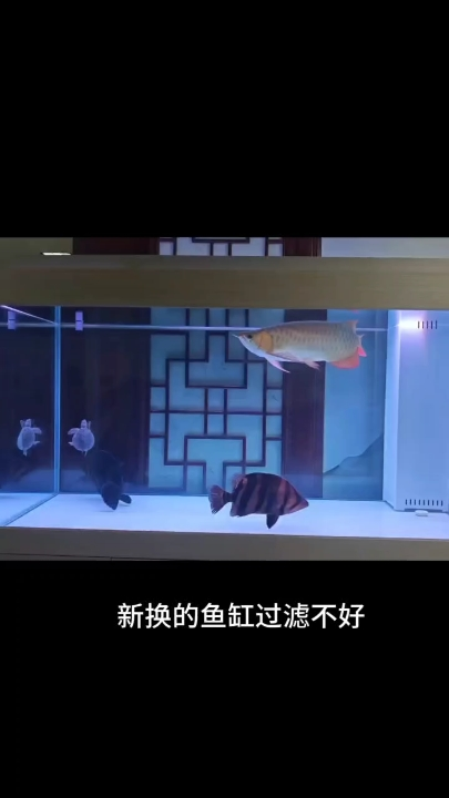 魚缸出水口改裝，魚缸循環不好改裝 魚缸出水口改裝，魚缸循環不好改裝 龍魚論壇