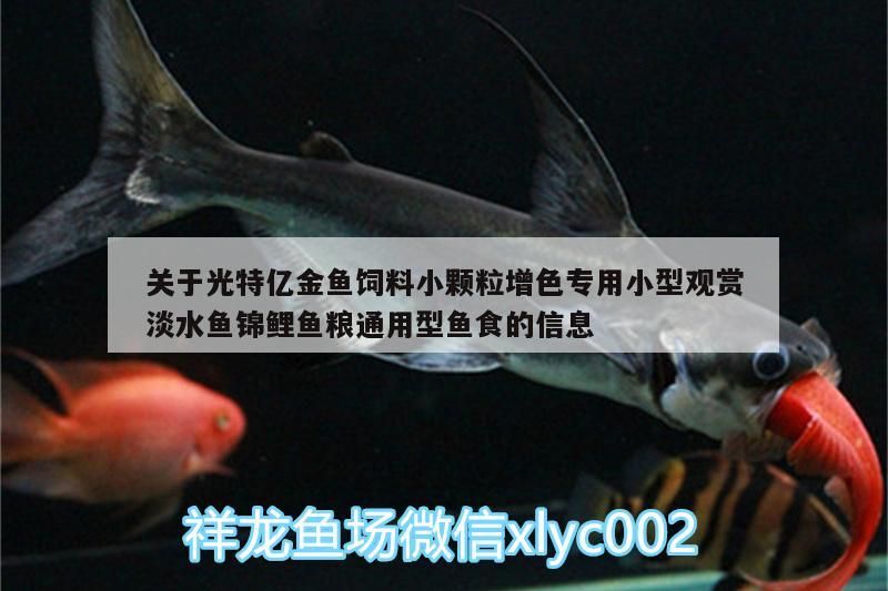 關(guān)于光特億金魚(yú)飼料小顆粒增色專(zhuān)用小型觀賞淡水魚(yú)錦鯉魚(yú)糧通用型魚(yú)食的信息