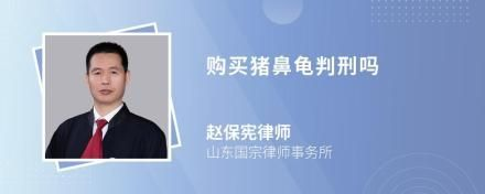 買賣豬鼻龜會判刑嗎？：買賣豬鼻龜犯法嗎