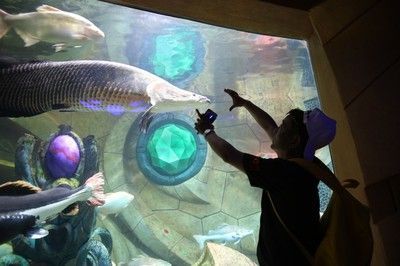 水族館叫什么名字：世界最大的水族館——喬治亞水族館