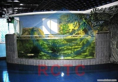 水族館叫什么名字：世界最大的水族館——喬治亞水族館