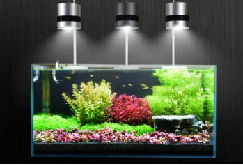 愛唯希魚缸專賣店電話地址（愛唯希魚缸專賣店電話地址查詢）