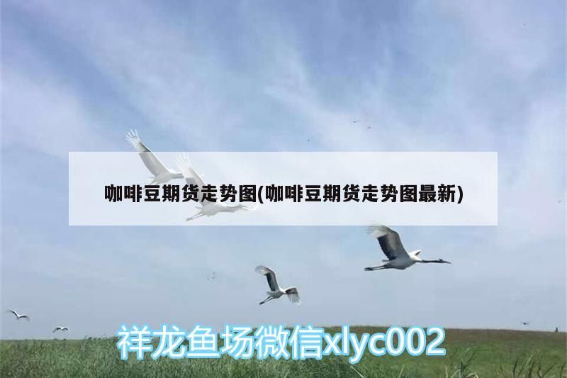 魚缸用增氧泵價格是多少:魚缸增氧機-xtrac增氧機-xtrac增氧機 咖啡豆期貨走勢圖(咖啡豆期貨走勢圖最新) 馬來西亞咖啡 咖啡豆期貨走勢圖(咖啡豆期貨走勢圖最新) 咖啡豆期貨走勢圖(咖啡豆期貨走勢圖最新) 馬來西亞咖啡