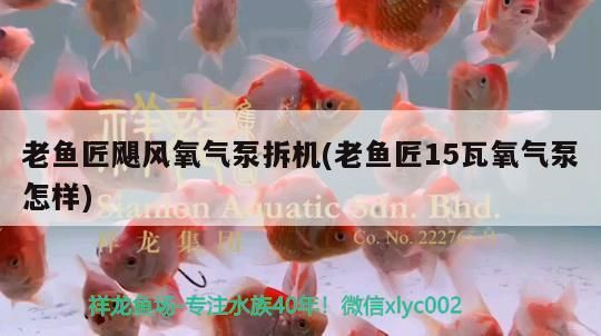老魚匠颶風氧氣泵拆機(老魚匠15瓦氧氣泵怎樣)
