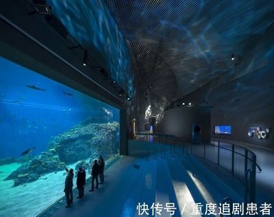 水族館是什么單位性質：關于水族館單位性質的詳細信息 水族館是什么單位性質：關于水族館單位性質的詳細信息 水族館百科（水族館加盟） 第5張