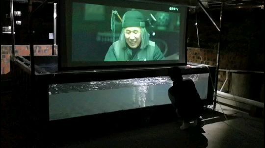 60公分魚缸能養(yǎng)多大的鯉魚呢圖片（60公分的魚缸裝多少升水）