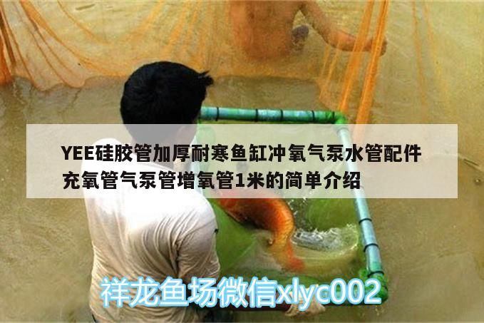 我的虎魚真菌感染了要怎么處理 YEE硅膠管加厚耐寒魚缸沖氧氣泵水管配件充氧管氣泵管增氧管1米的簡單介紹 yee YEE硅膠管加厚耐寒魚缸沖氧氣泵水管配件充氧管氣泵管增氧管1米的簡單介紹 YEE硅膠管加厚耐寒魚缸沖氧氣泵水管配件充氧管氣泵管增氧管1米的簡單介紹 yee