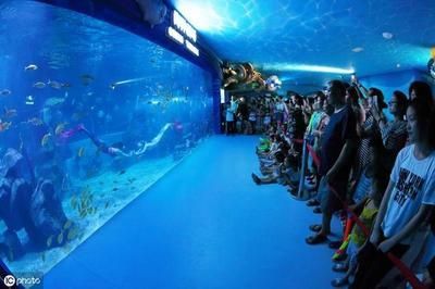 水族館背后的秘密（《詭異水族館》）