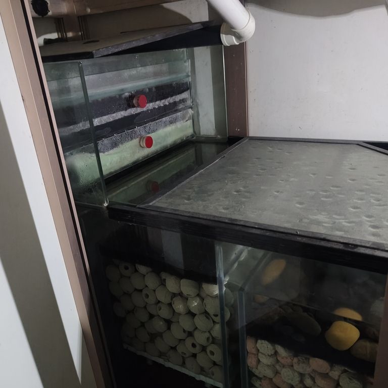 上岸整套出售 上岸整套出售 龍魚(yú)論壇 第8張