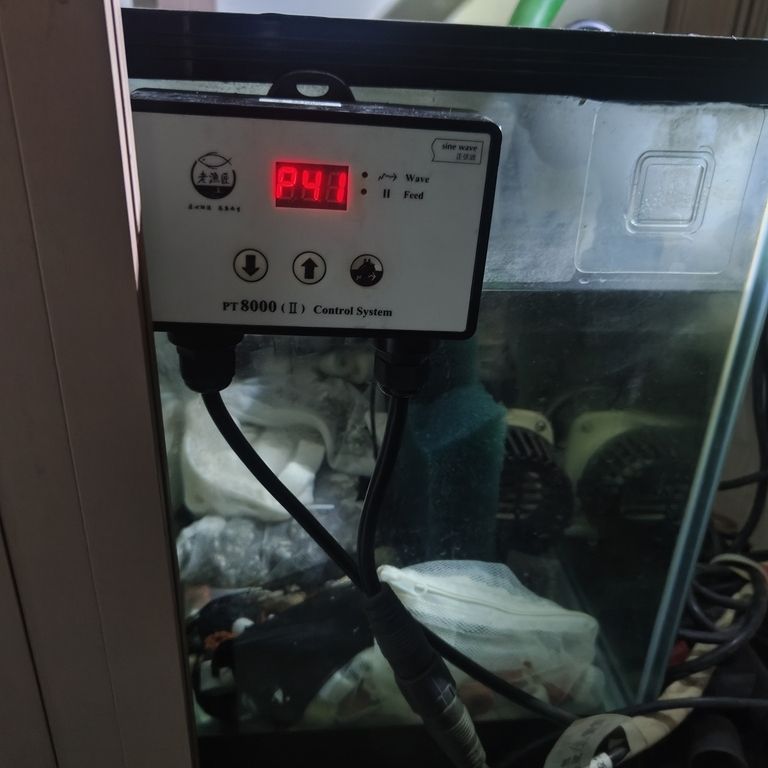 上岸整套出售 上岸整套出售 龍魚(yú)論壇 第9張