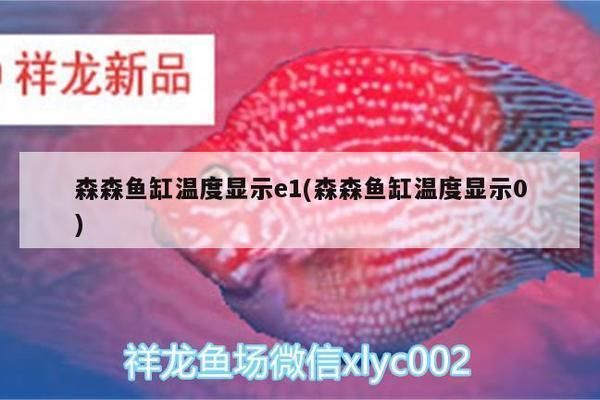 森森魚缸加熱棒哪里有維修：加熱棒維修點查詢