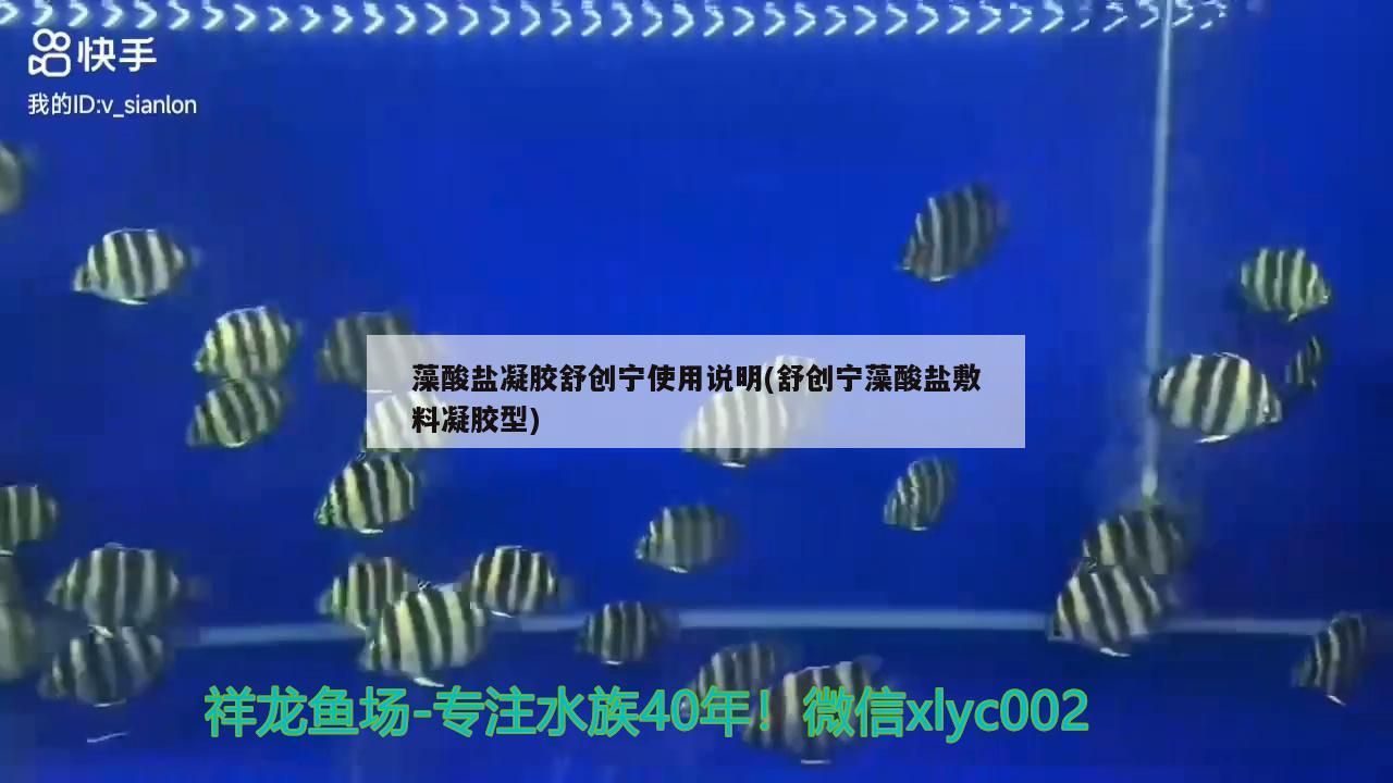 藻酸鹽凝膠舒創寧使用說明(舒創寧藻酸鹽敷料凝膠型)