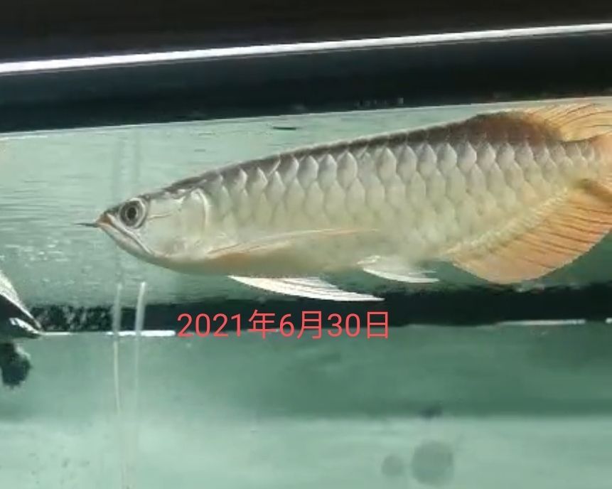 荔波縣黎明關鈴木摩托車店