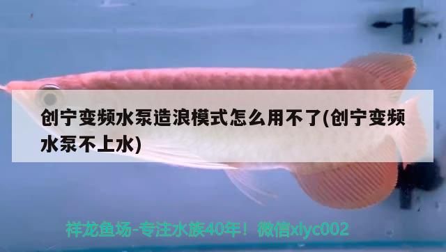 創寧變頻水泵造浪模式怎么用不了(創寧變頻水泵不上水)