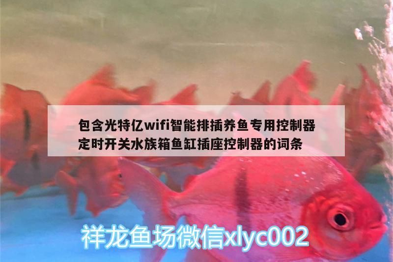 包含光特億wifi智能排插養魚專用控制器定時開關水族箱魚缸插座控制器的詞條