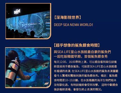 水族館主要經營什么產品：水族館主要經營產品