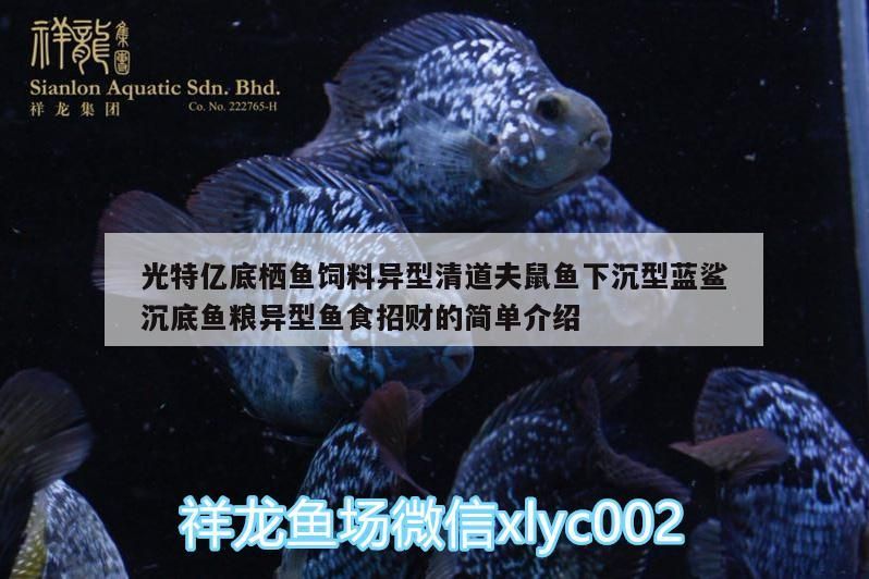 光特億底棲魚飼料異型清道夫鼠魚下沉型藍鯊沉底魚糧異型魚食招財?shù)暮唵谓榻B