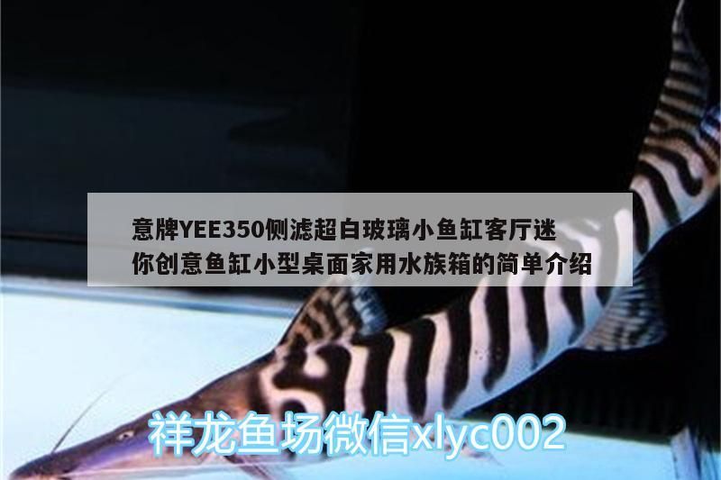 意牌YEE350側濾超白玻璃小魚缸客廳迷你創意魚缸小型桌面家用水族箱的簡單介紹
