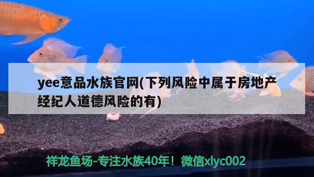 yee意品水族官網(wǎng)(下列風(fēng)險(xiǎn)中屬于房地產(chǎn)經(jīng)紀(jì)人道德風(fēng)險(xiǎn)的有)