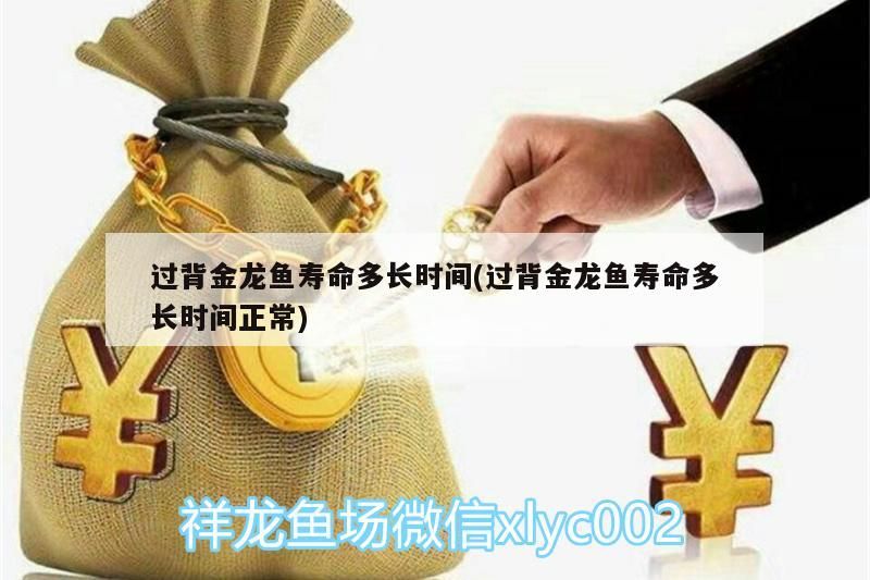 過背金龍魚壽命多長時間(過背金龍魚壽命多長時間正常)