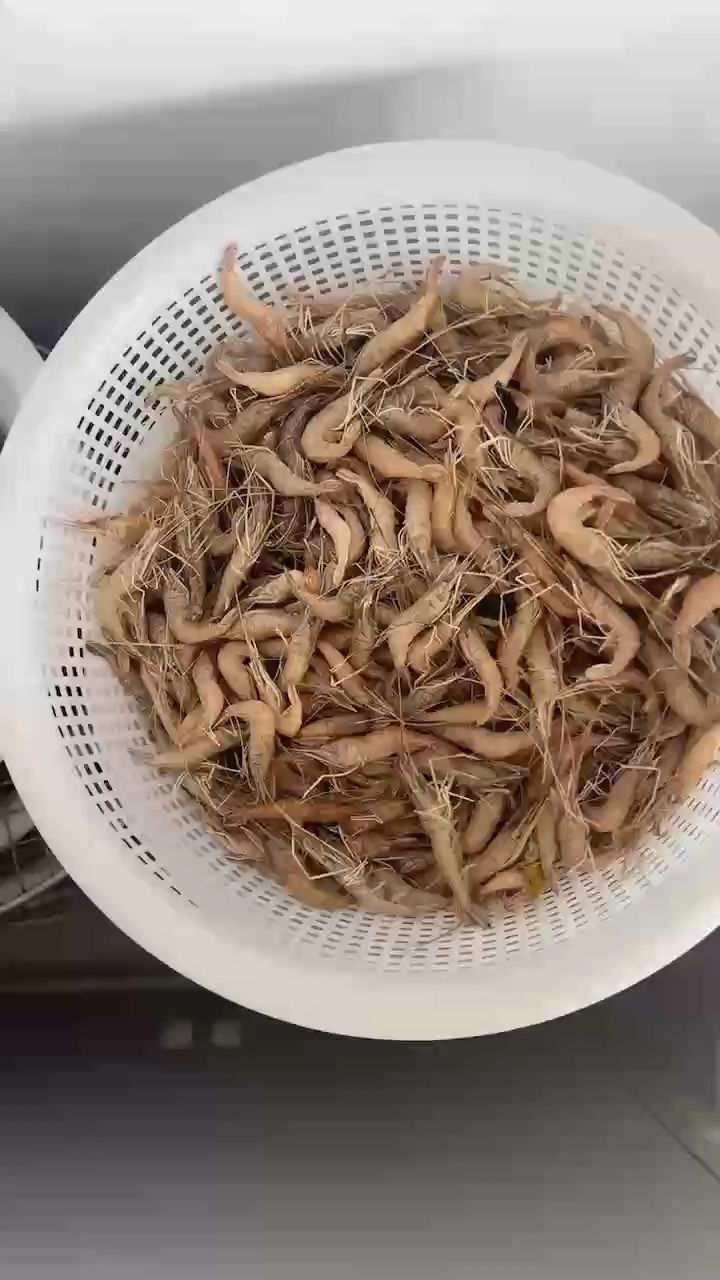 忙碌的一個上午