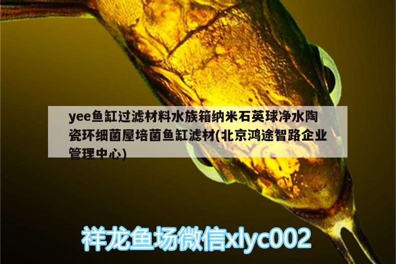yee魚缸過濾材料水族箱納米石英球凈水陶瓷環(huán)細(xì)菌屋培菌魚缸濾材(北京鴻途智路企業(yè)管理中心)