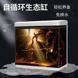 紅龍魚外寄多久能治好，如何預防紅龍魚外寄復發