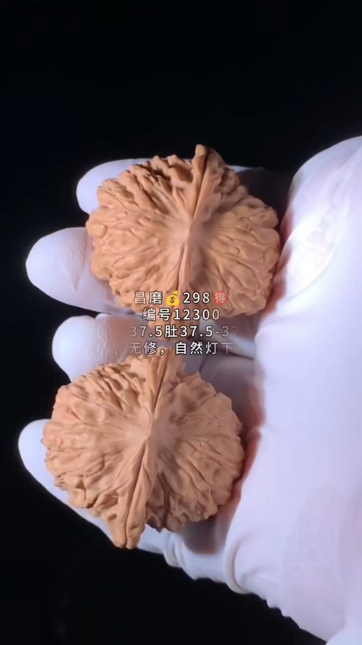 昌悶核桃 昌悶核桃 龍魚論壇