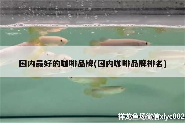 國(guó)內(nèi)最好的咖啡品牌(國(guó)內(nèi)咖啡品牌排名) 國(guó)內(nèi)最好的咖啡品牌(國(guó)內(nèi)咖啡品牌排名) 馬來(lái)西亞咖啡