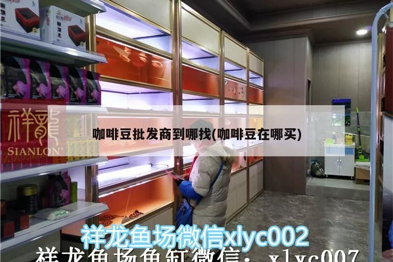 咖啡豆批發商到哪找(咖啡豆在哪買) 咖啡豆批發商到哪找(咖啡豆在哪買) 馬來西亞咖啡