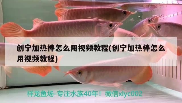 創寧加熱棒怎么用視頻教程(創寧加熱棒怎么用視頻教程)