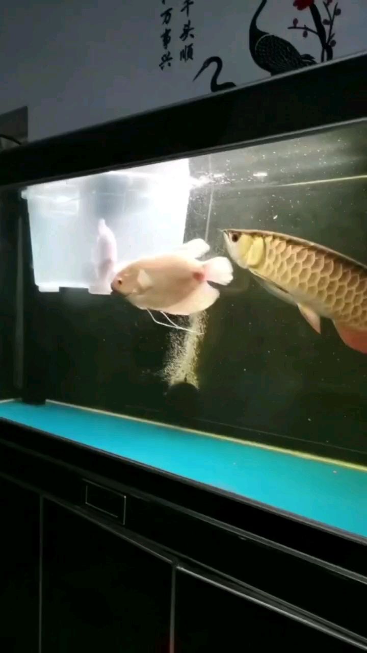 留戀