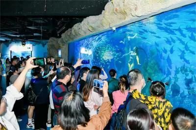 水族館成本怎么算收入:水族館成本與收入計算 水族館百科(水族館加盟) 第5張 水族館成本怎么算收入:水族館成本與收入計算 水族館成本怎么算收入:水族館成本與收入計算 水族館百科(水族館加盟) 第5張