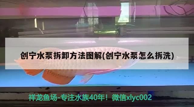 創寧水泵拆卸方法圖解(創寧水泵怎么拆洗)