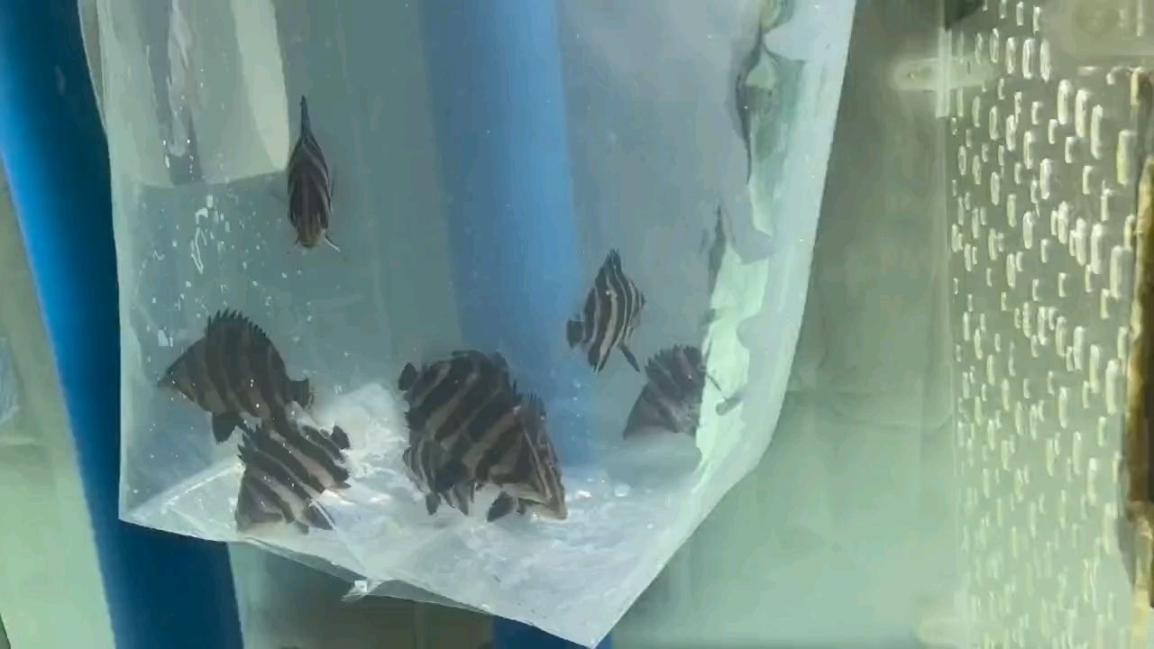 再入坑
