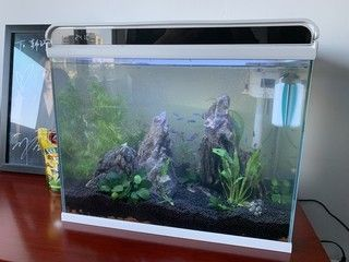 he480魚缸可以放多少升水：he480魚缸養殖的技巧魚缸養殖技巧 he480魚缸可以放多少升水：he480魚缸養殖的技巧魚缸養殖技巧 魚缸百科 第3張
