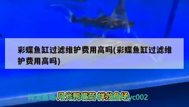 高陽世家龍魚價格表最新（淶水到鎮廠途經哪些個站）
